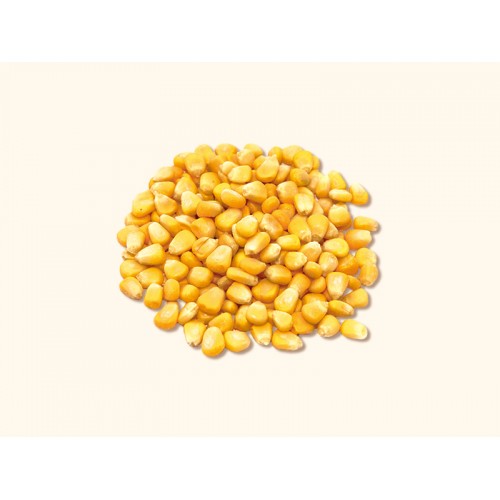 Кукуруза зерно свежемороженая 1кг