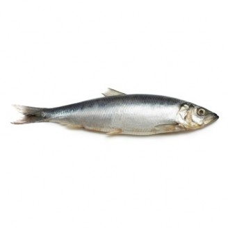 Рыба Сельдь свежемороженая 200-300 1кг